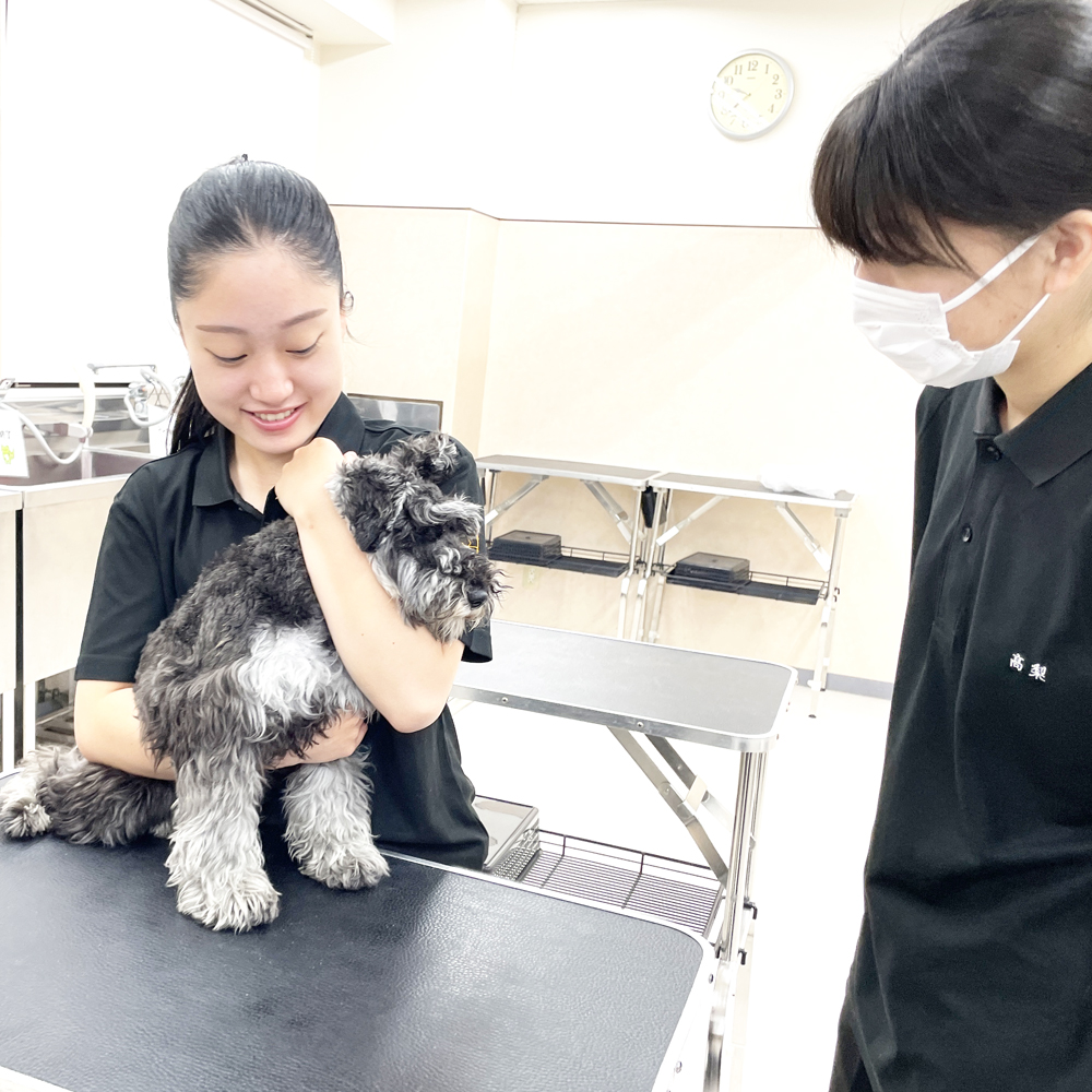 1年生の保定実習